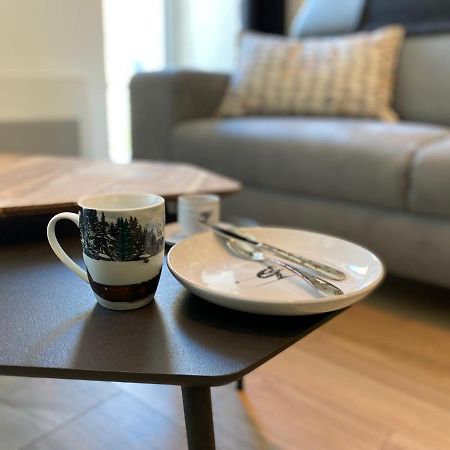 Apartament Plein Centre, T3 5P Totalement Renove 55M2. Wifi Cauterets Zewnętrze zdjęcie